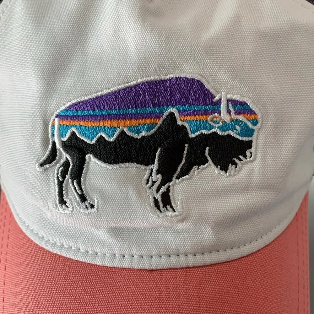Patagonia Fitz Roy Bison Hat